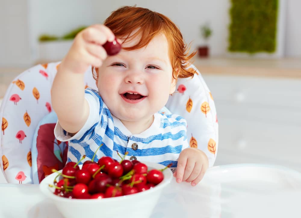 Small child sitting in a high chair with a bowl of cherries