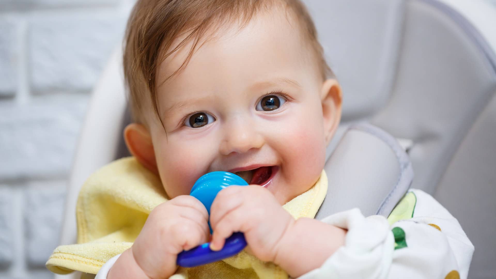 what to put in silicone baby feeder