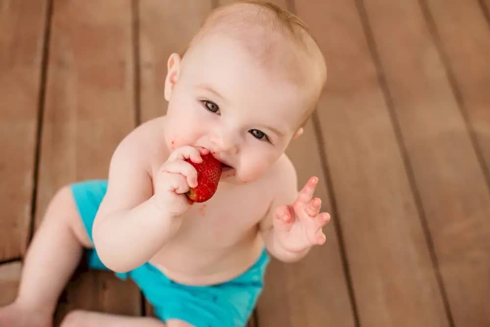 How to start baby led weaning