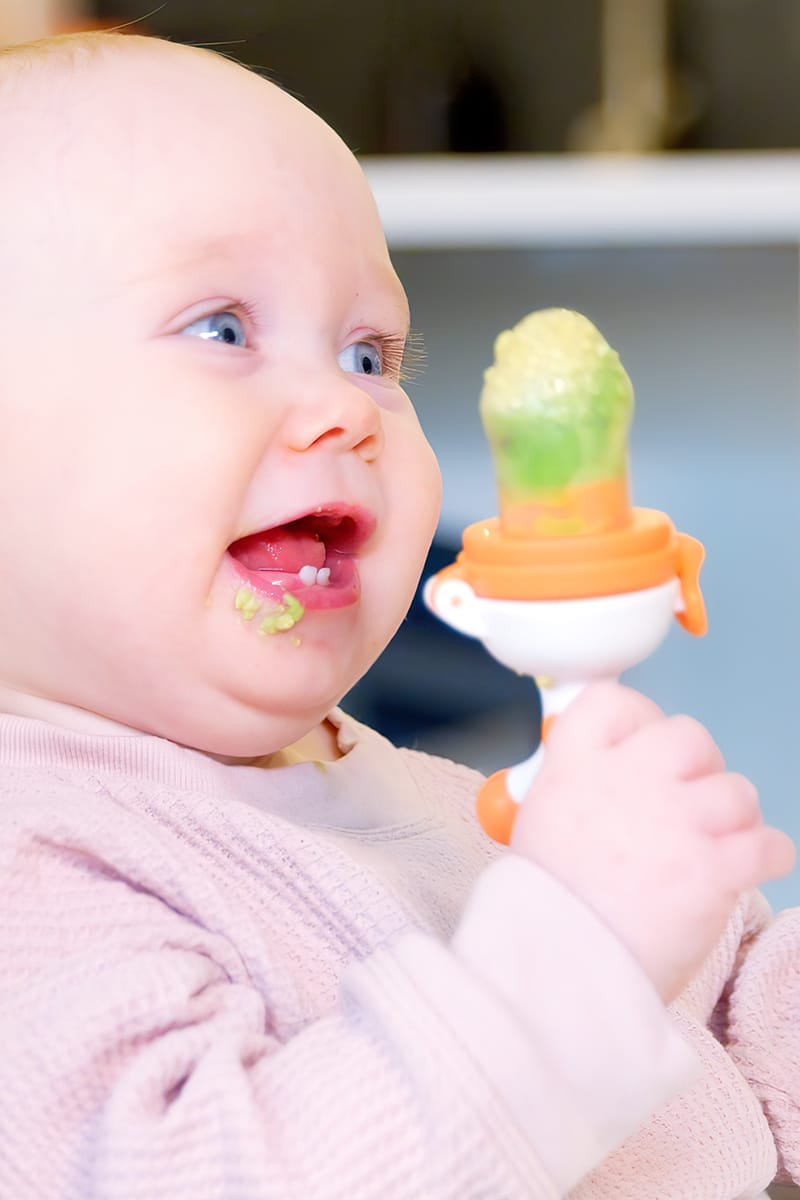 Baby eating fruit with a Fruuti